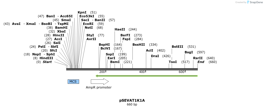 95133_map