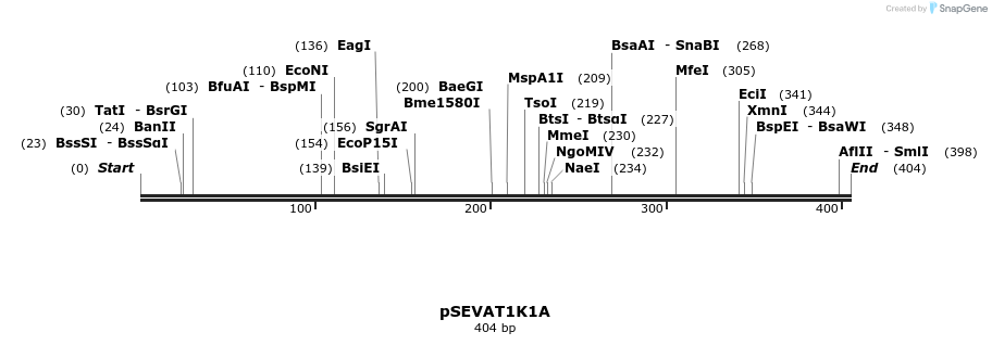 95135_map