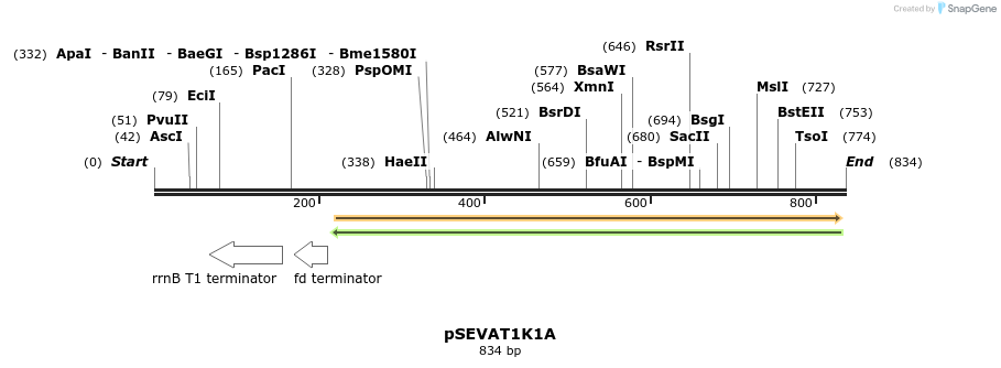 95136_map