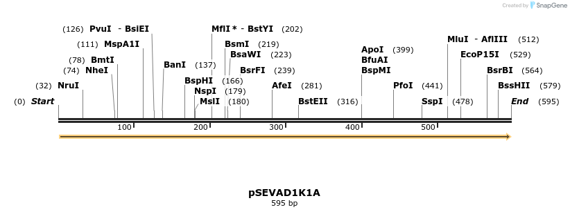 95140_map