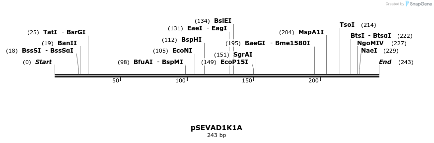 95145_map