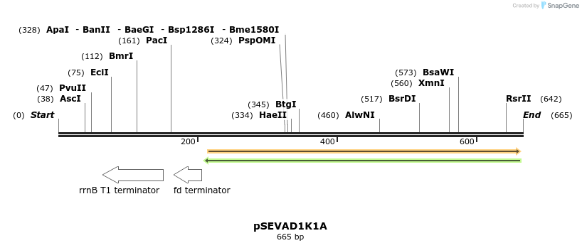 95148_map