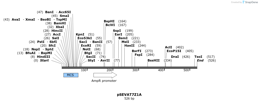 95149_map