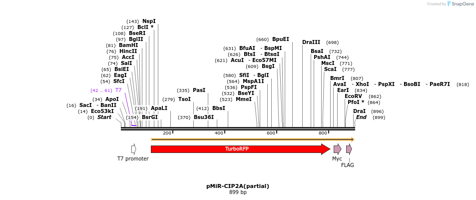 95150_map