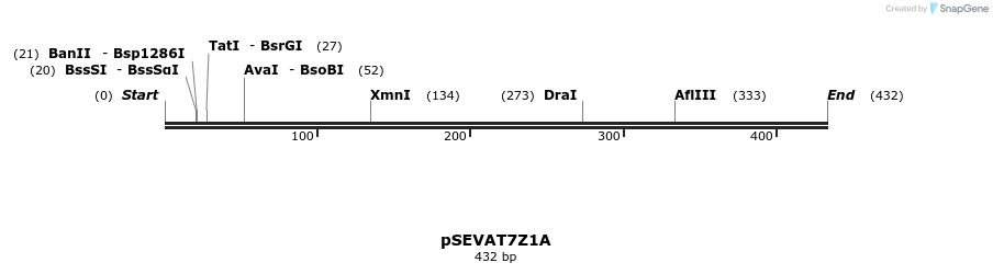 95151_map