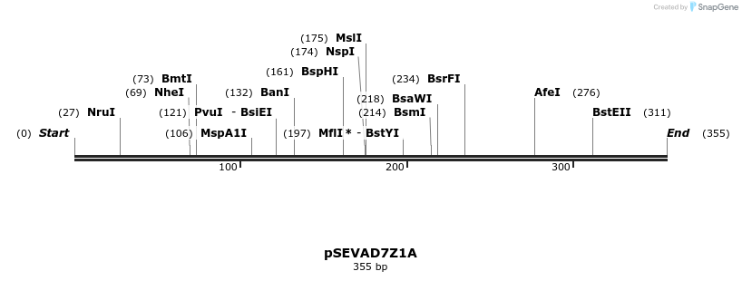 95154_map