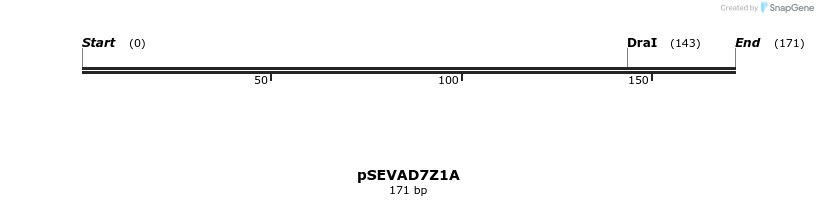 95156_map