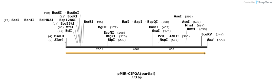 95157_map
