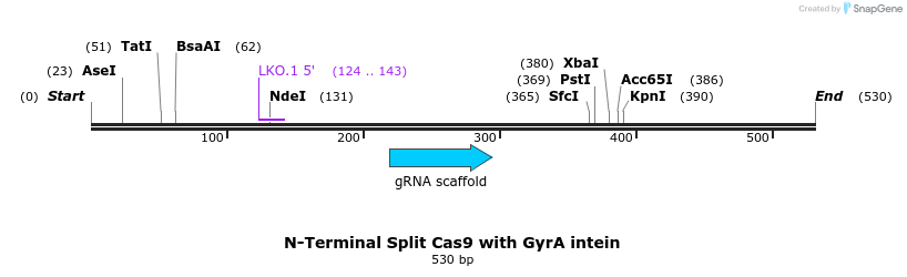 95177_map