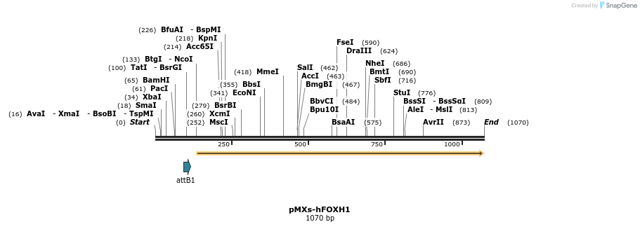 95178_map