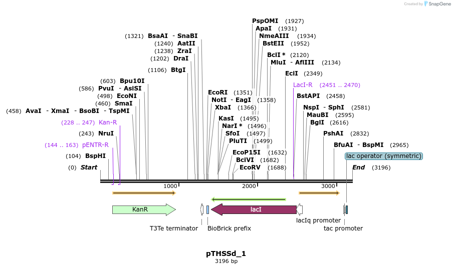 95180_map