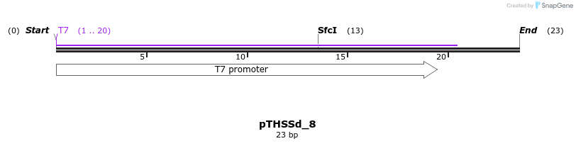 95182_map