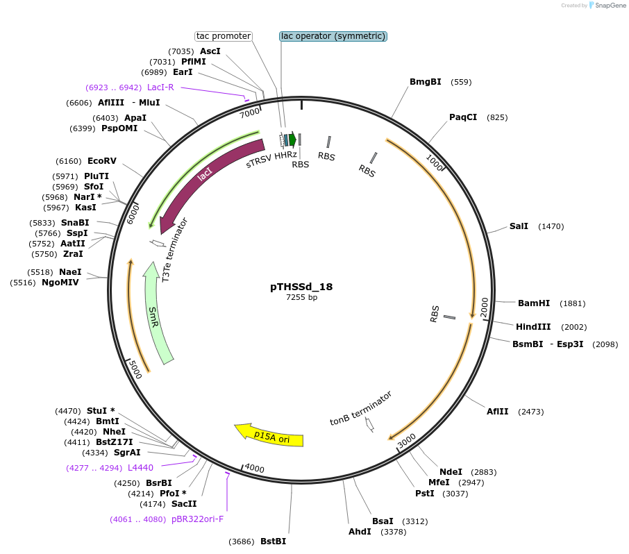 95192_map