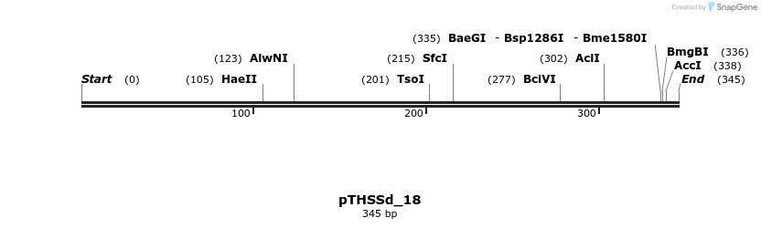95194_map