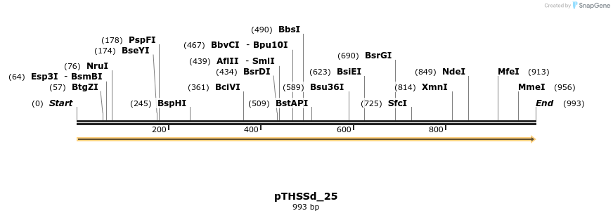 95200_map