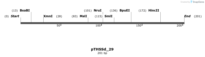 95206_map