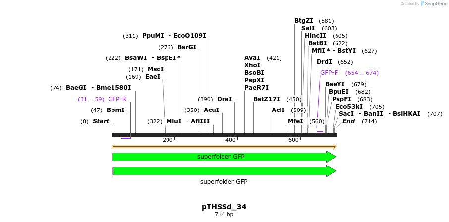 95208_map