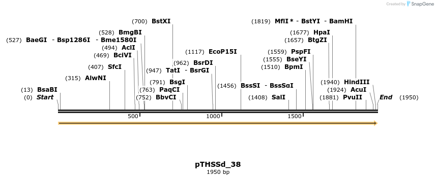 95210_map