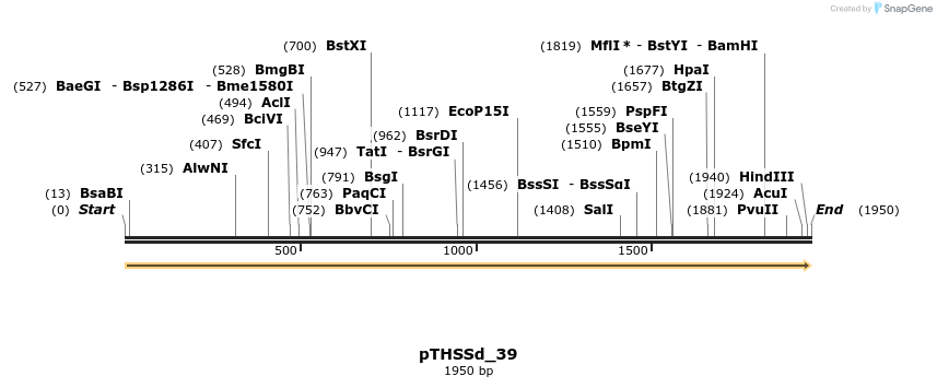 95212_map