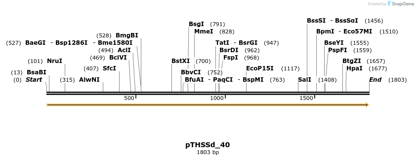 95214_map