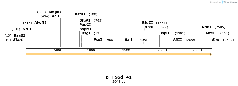 95216_map