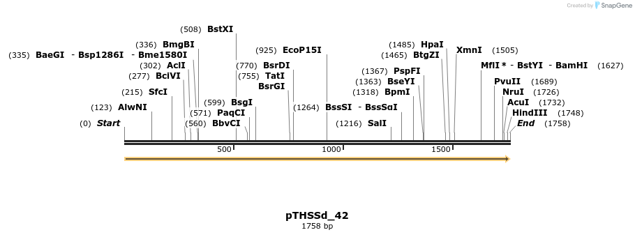 95218_map