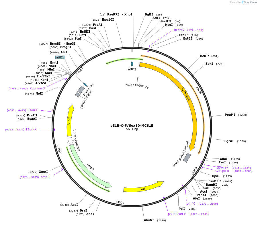 9522_map