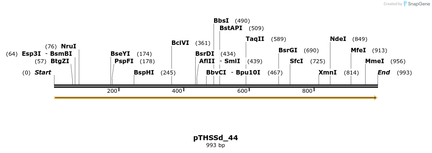 95220_map
