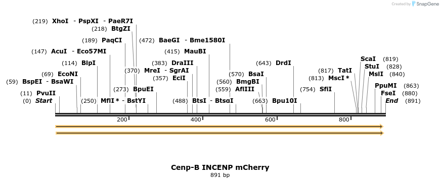 95227_map