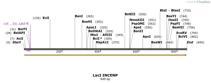 95229_map