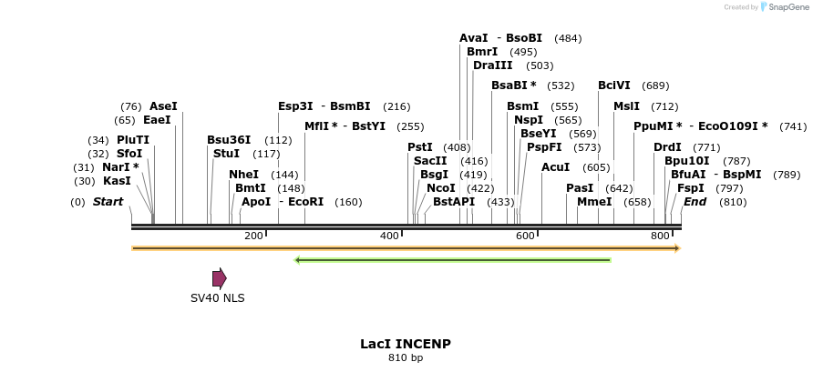95230_map