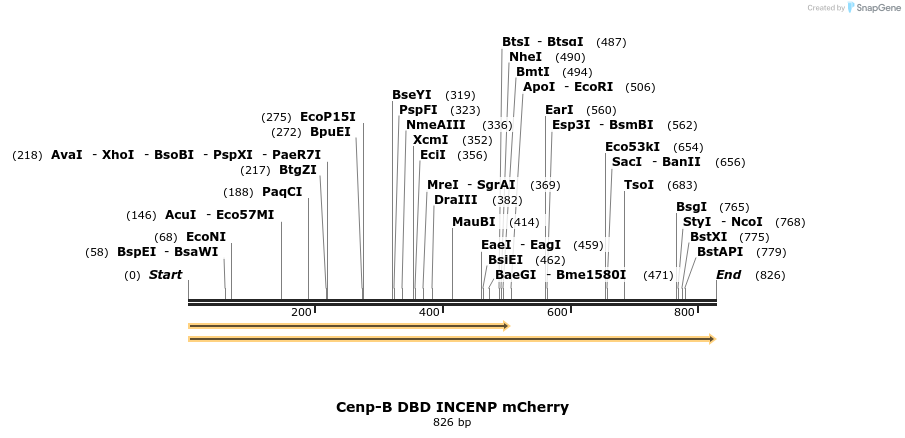95235_map