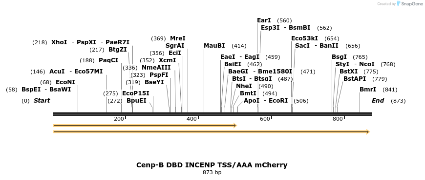 95237_map