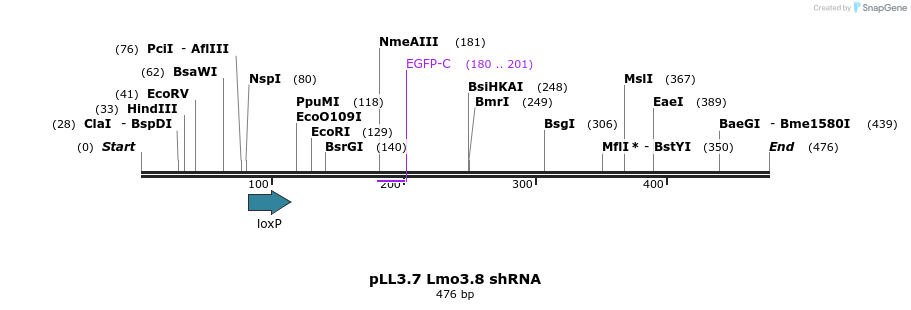 95238_map