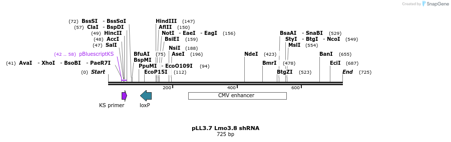 95239_map