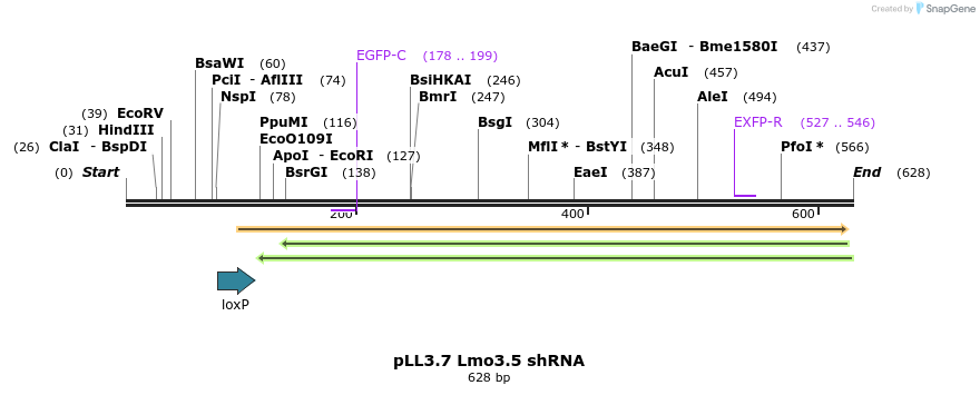 95240_map
