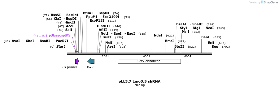 95241_map