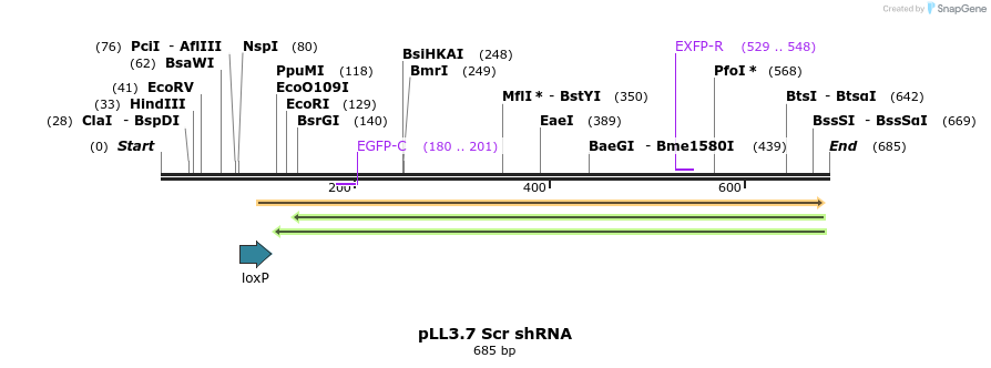 95244_map