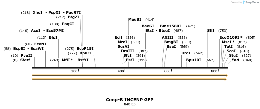 95245_map