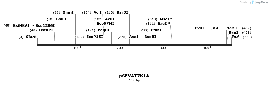 95247_map
