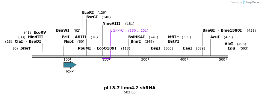 95249_map