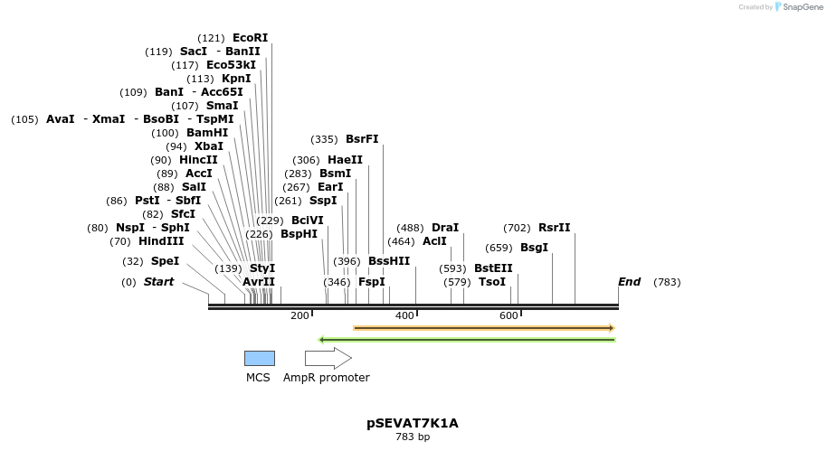95250_map