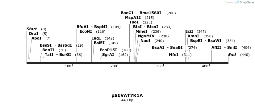 95252_map