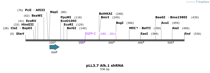 95253_map