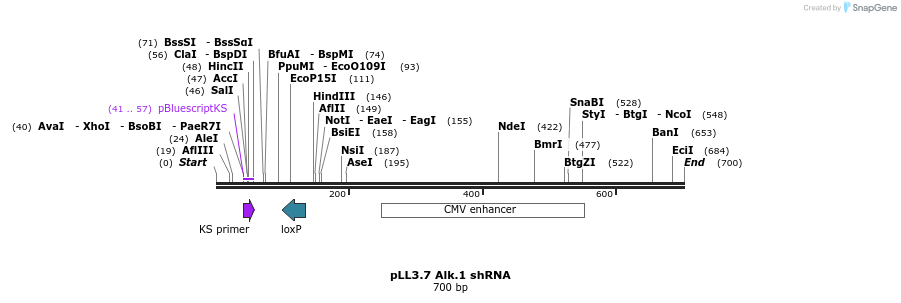 95256_map