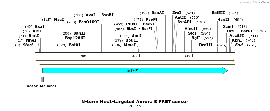 95257_map