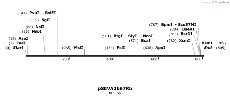 95267_map