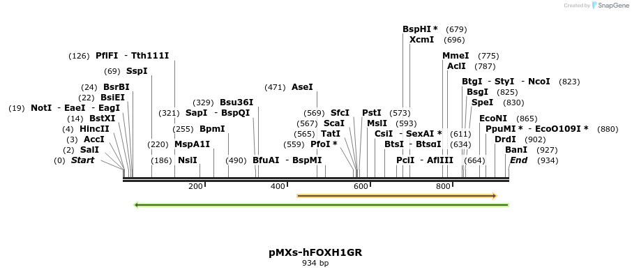 95270_map