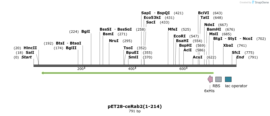 95271_map