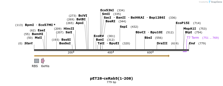 95272_map